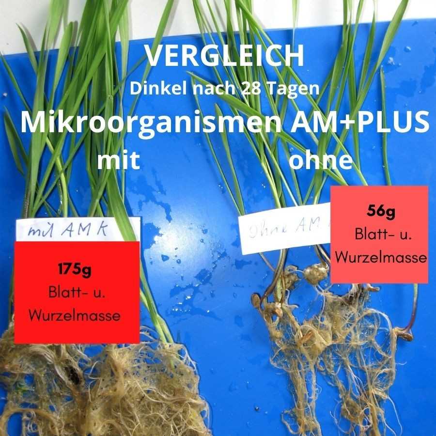AM+PLUS Aktive Mikroorganismen aus Österreich