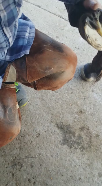 HORSEKRAFT Zeolith Hufpuder 8 x 100 g